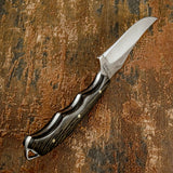 Buy UK Trailing Point Knife, UK Knife store, UK Knife dealer