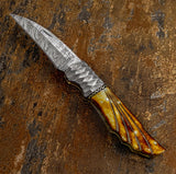 a hammered Damascus bolsters, and a beautifully executed file-worked spine