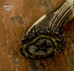 INGLOURIOUS BASTERDS BOWIE KNIFE BY IMPACT CUTLERY